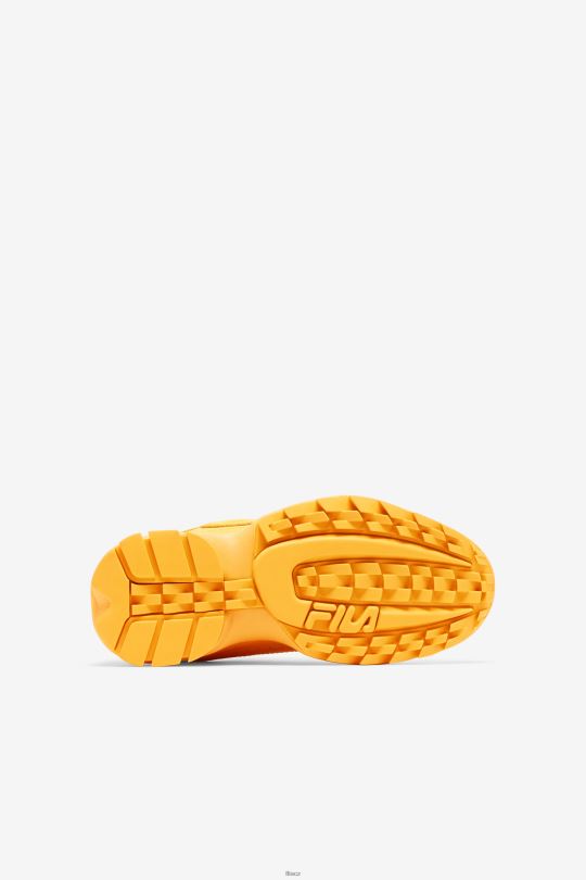 malý dětský disruptor 2 prémiová fila 0668L2192FILA