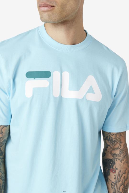 petit four/white/bayou pánské tričko eagle fila 0668L366 petit four/white/bayou FILA