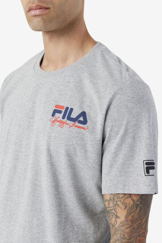 vřes šedá bevans park grafické tričko fila 0668L390 vřesově šedá FILA